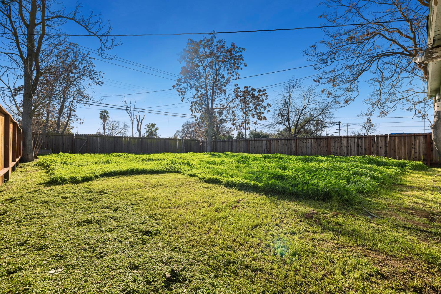 209 W Eden Ave, Fresno, CA 93706